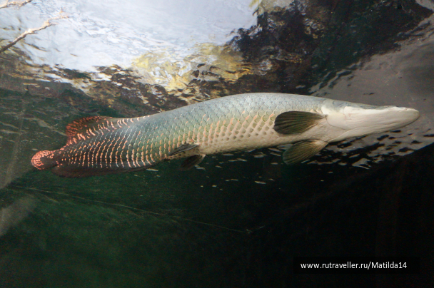 photo 1025678