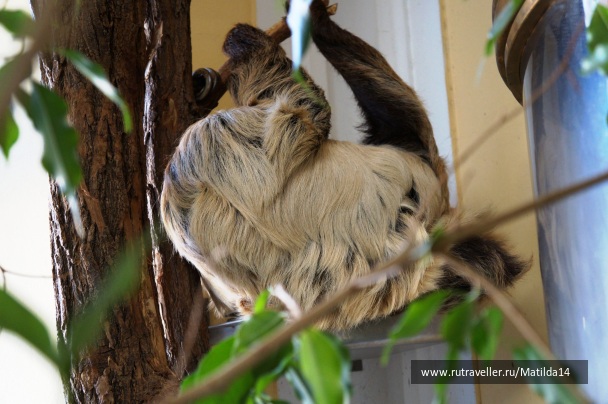 photo 1025683