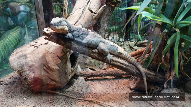 photo 1025686