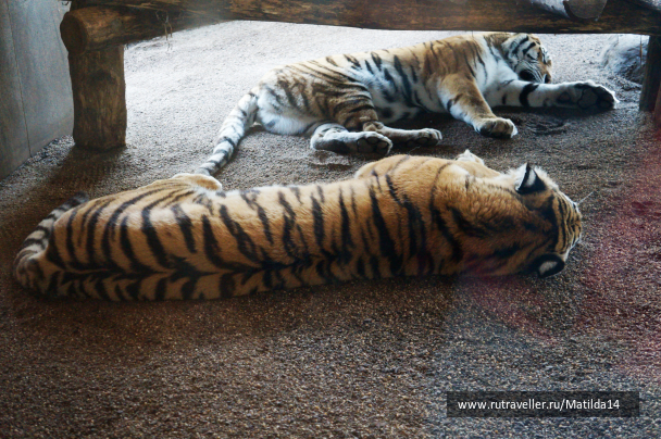 photo 1025693