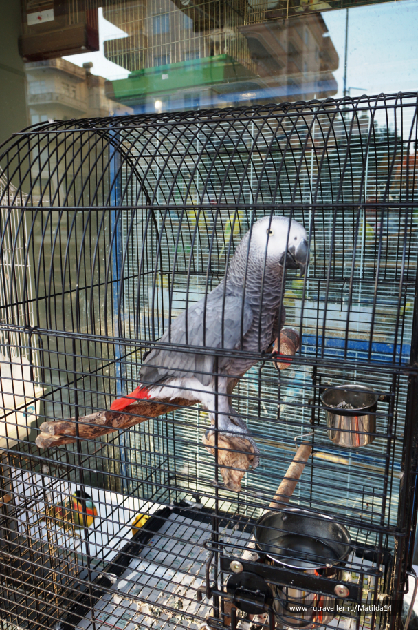 photo 1090130