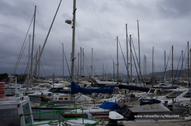 photo 242701