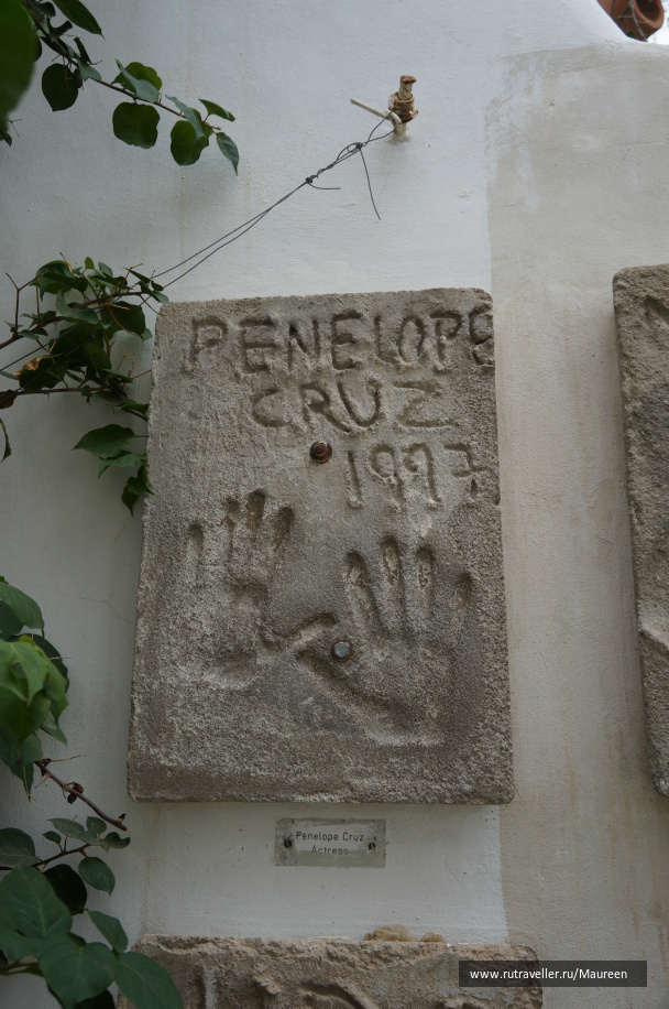 photo 242705