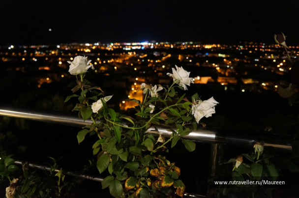 photo 242730