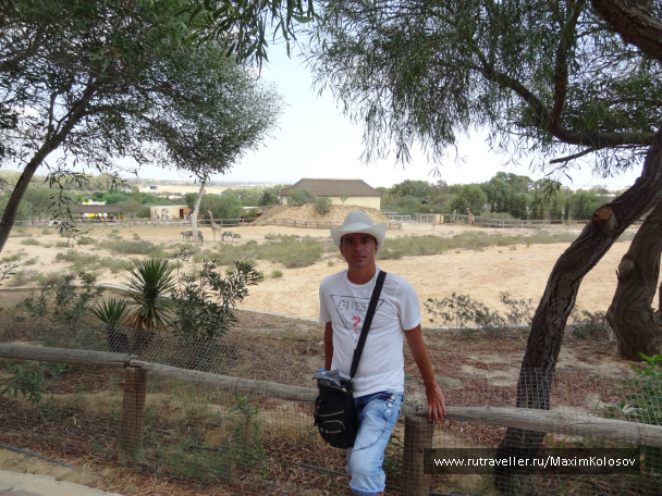 photo 272880