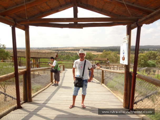 photo 272881