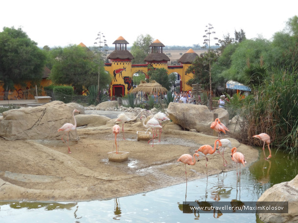photo 272888