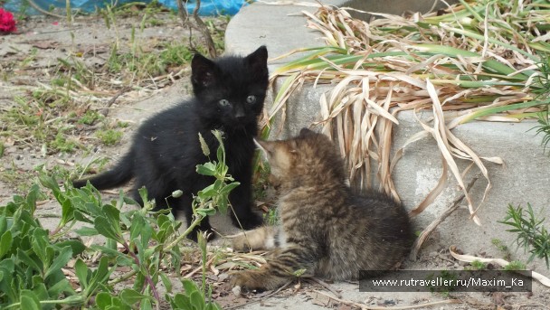 photo 745693