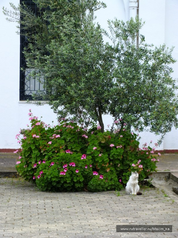 photo 745697