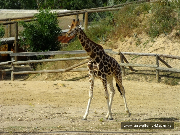 photo 745916