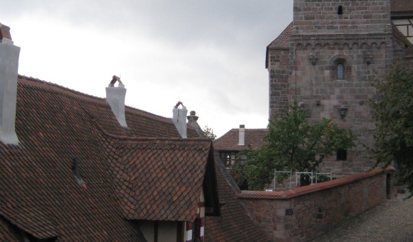56580e6ea8145.jpg
