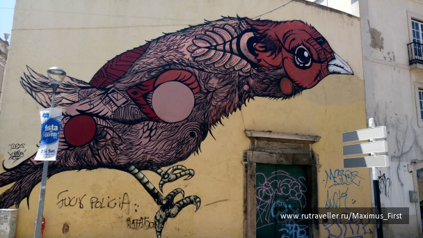 photo 1323290