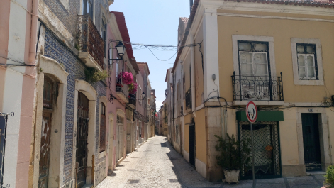 photo 1323291