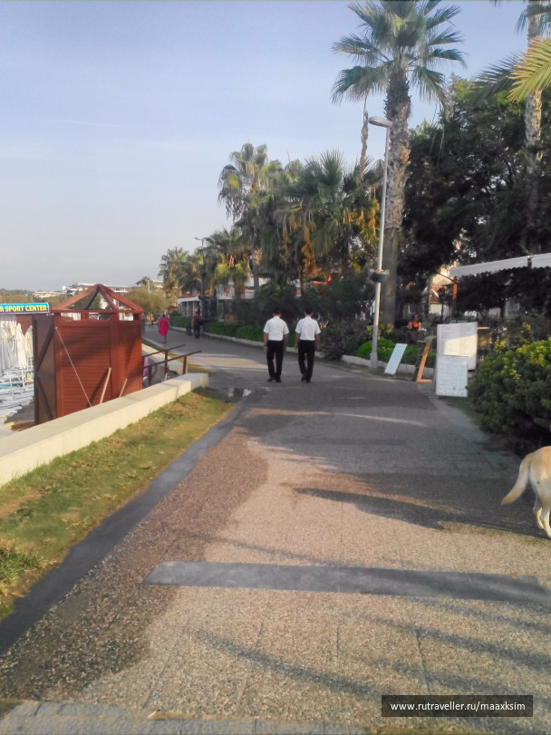 photo 1594573