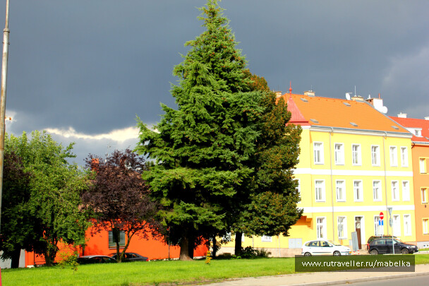 photo 577529