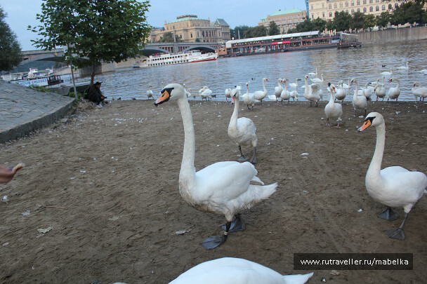 photo 580929