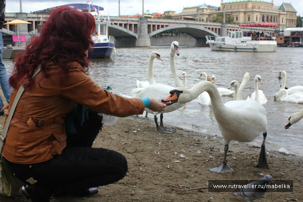 photo 580932