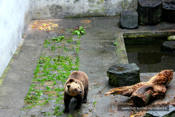 photo 654514