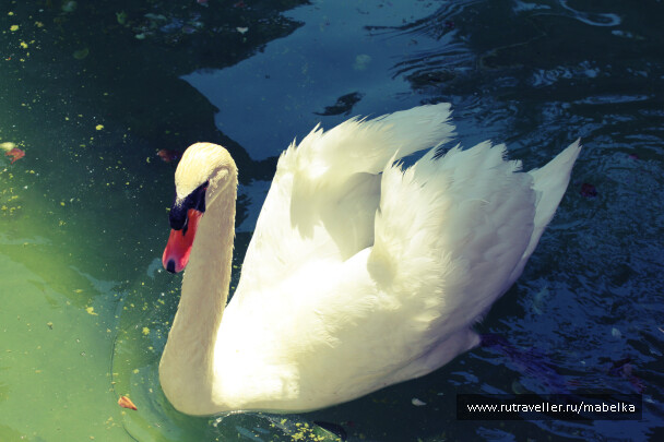 photo 561163