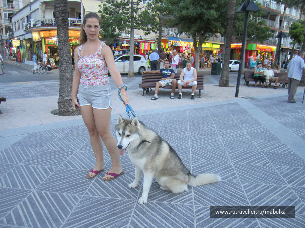 photo 595372