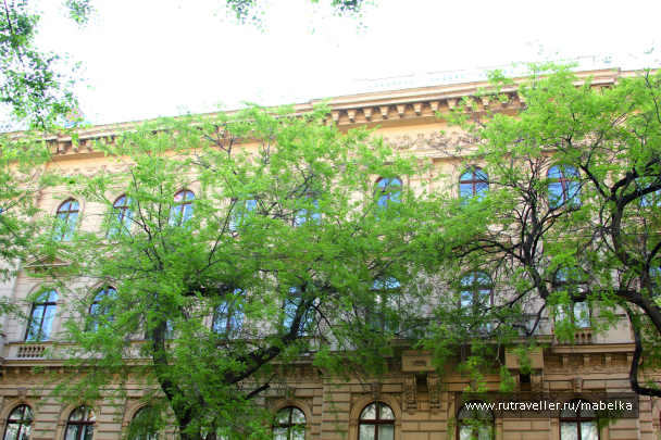 photo 716809