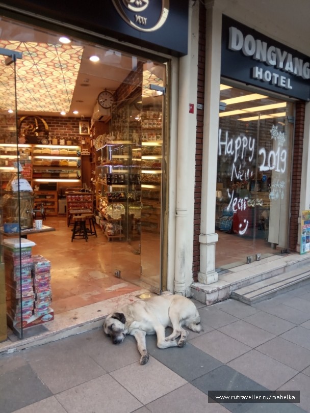 photo 1725852