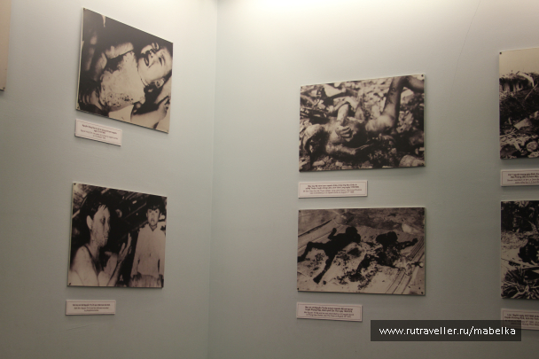 photo 1359969