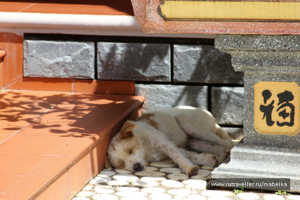 photo 1404355