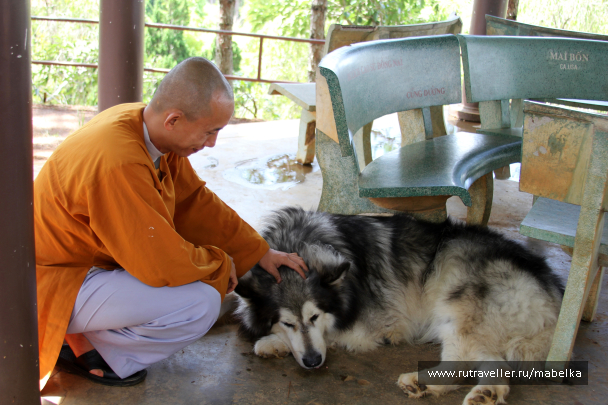photo 1404359
