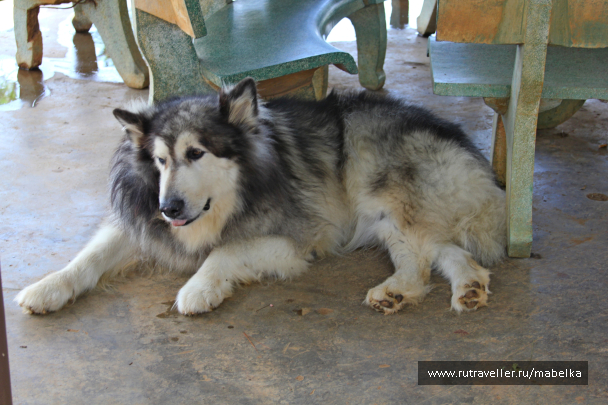 photo 1404360