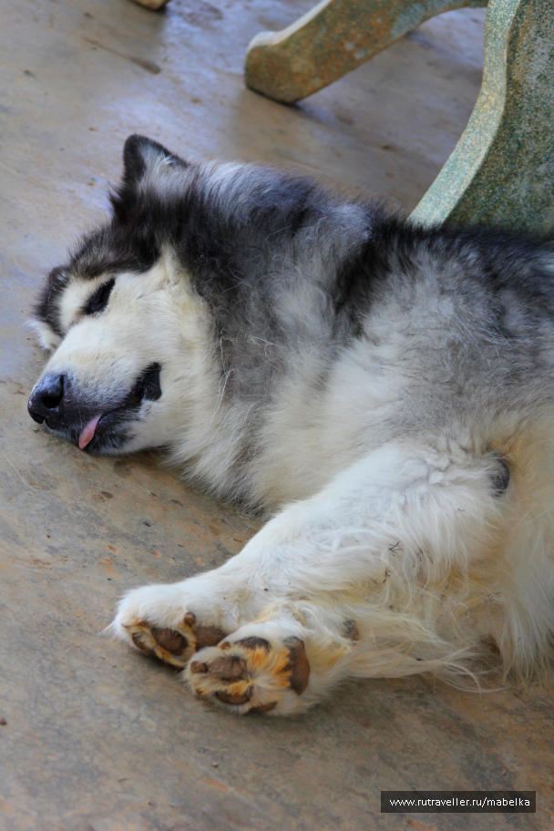 photo 1404363