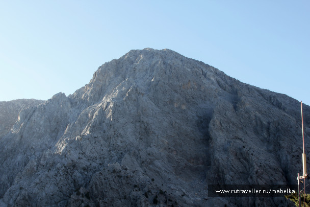 photo 1392252