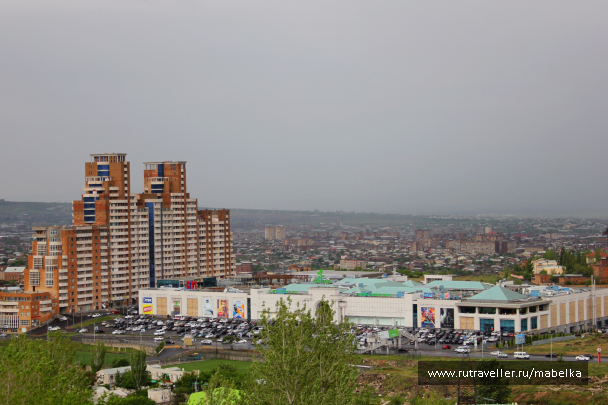 photo 1481469