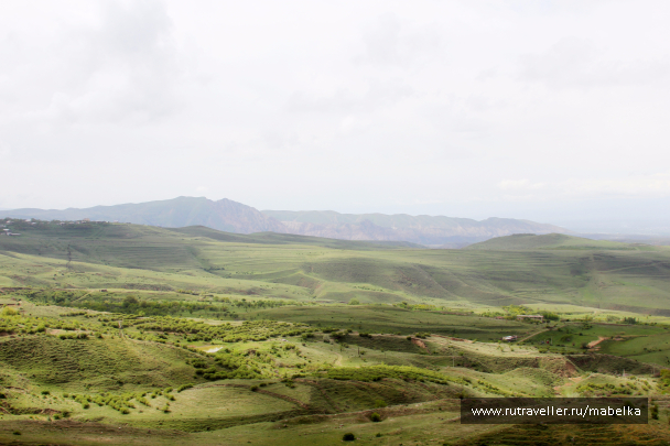 photo 1482557