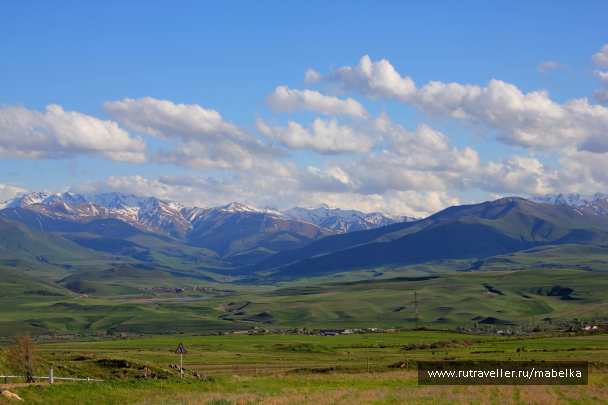 photo 1484473