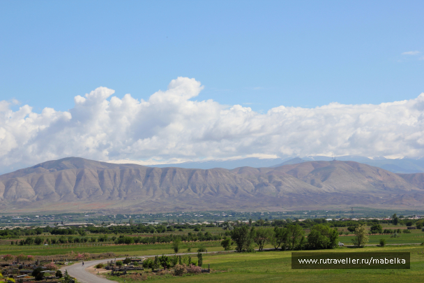 photo 1484494