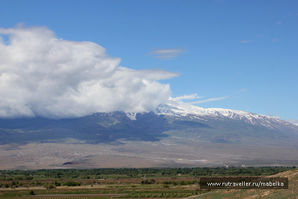 photo 1484495