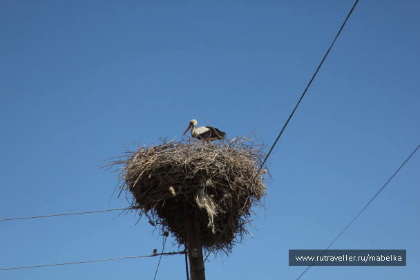 photo 1484497