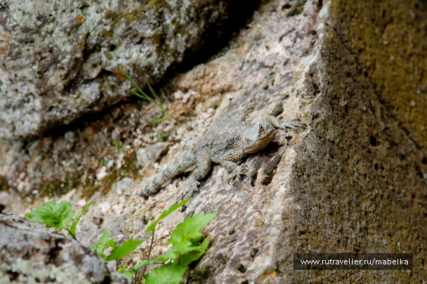 photo 1489801