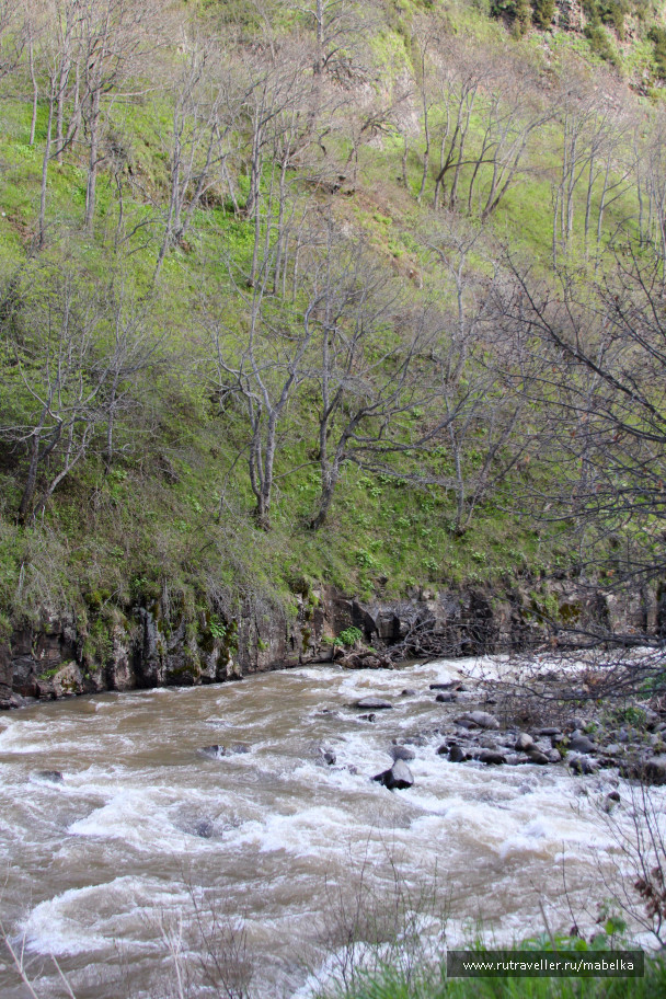 photo 1489835