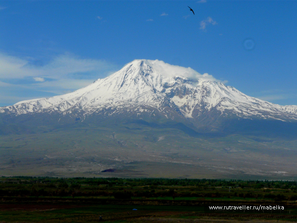 photo 1492382
