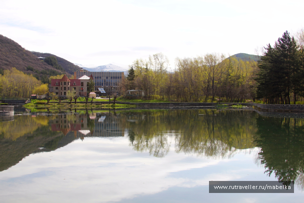 photo 1493356