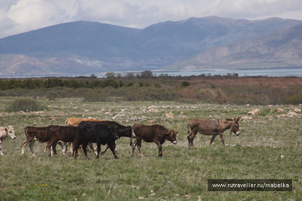 photo 1493364