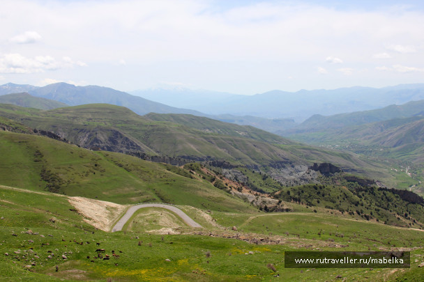 photo 1493368