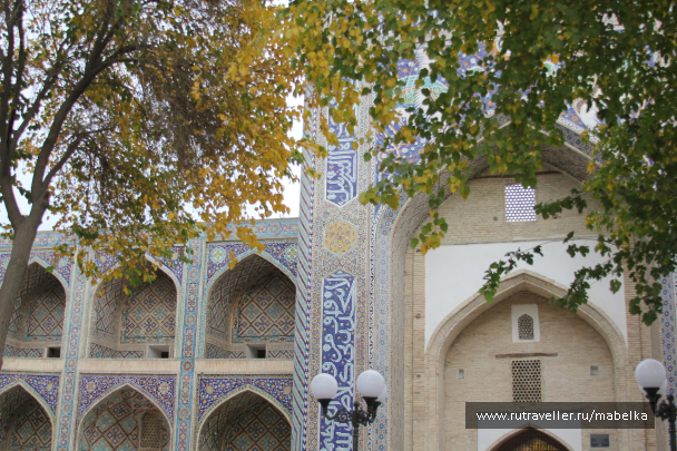 photo 1571332