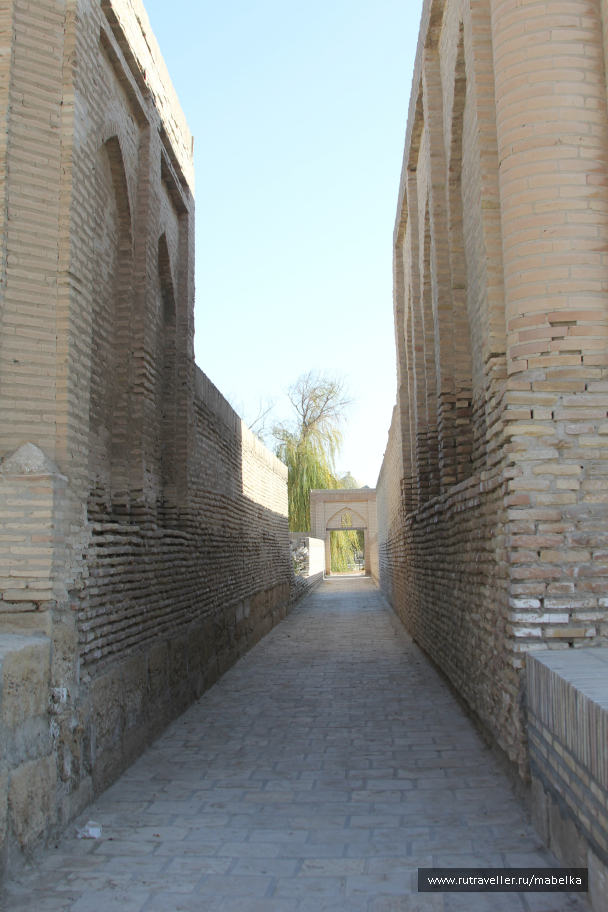 photo 1573356