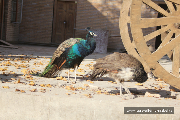 photo 1573370
