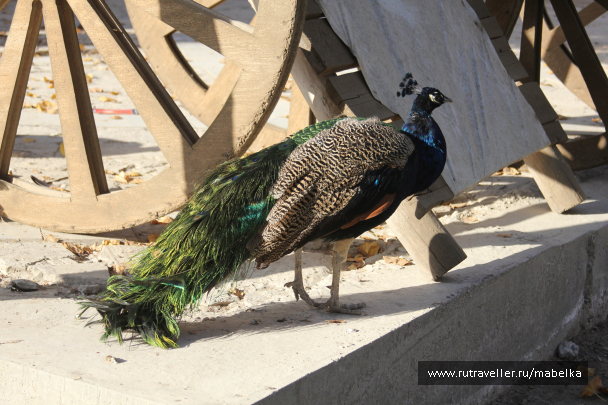 photo 1573374