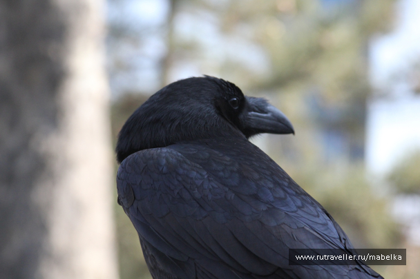 photo 1573489