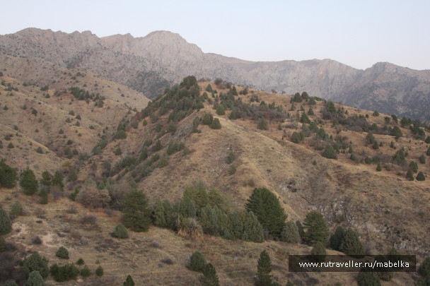 photo 1575165